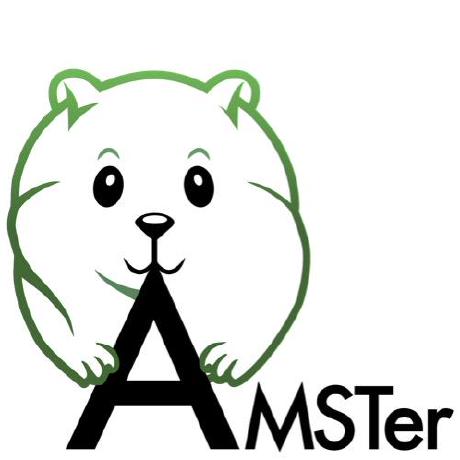 @AMSTerUsers