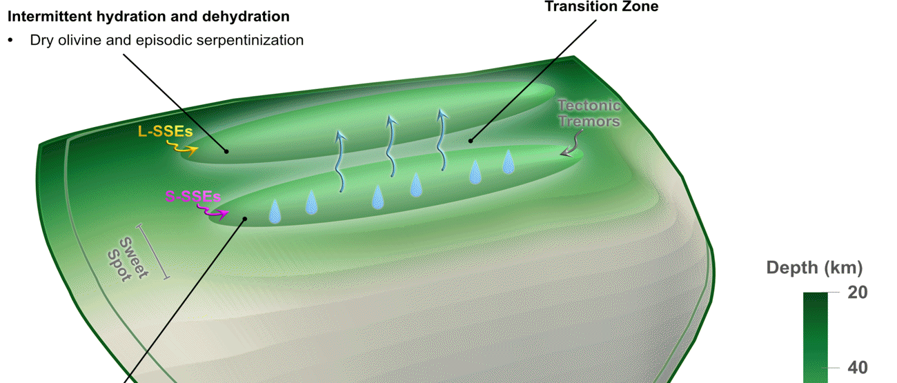 3D model of a subduction zone interface