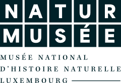 Logo mnhn.lu